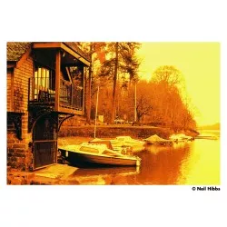 Harman Red 125 135/36