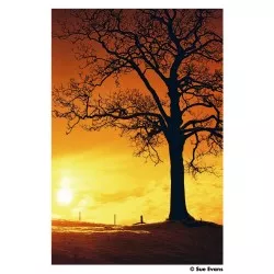 Harman Red 125 135/36