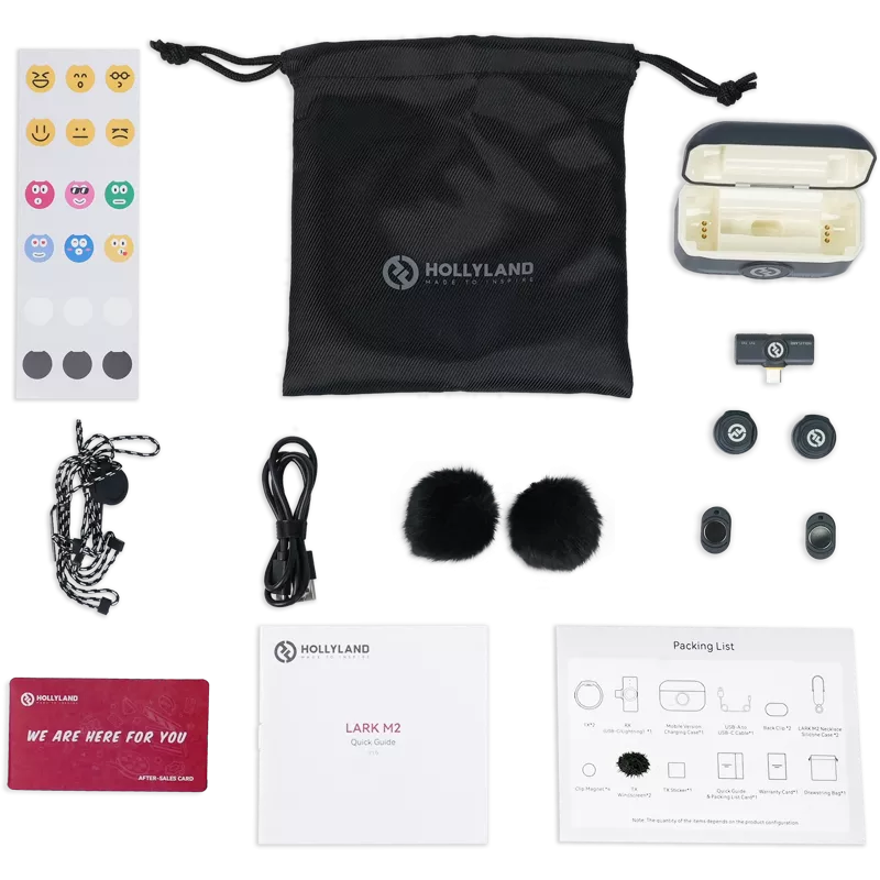 Hollyland Lark M2 USB-C - Wireless Lavalier Microphone with USB-CPlug (Duo,Shine Charcoal)