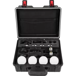 Nanlite PavoBulb 10C 4 light kit