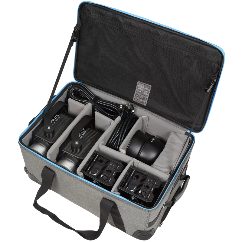 NANLITE Forza 300B II 2 Kit LED Spot Light with Trolley Case