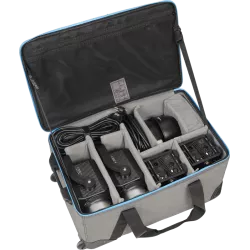 NANLITE Forza 300 II 2 Kit LED Spot Light with Trolley Case