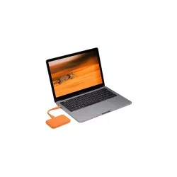 LaCie Rugged USB-C SSD     500GB