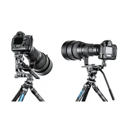 Leofoto głowica LBQ-60S