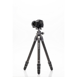 Benro statyw Tortoise 24C+GX30