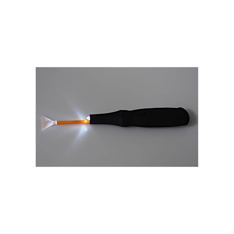 Visible Dust Arctic Beez