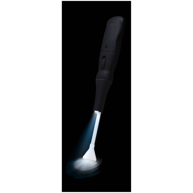 Visible Dust Arctic Beez