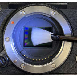 Visible Dust Arctic Butterfly 724X