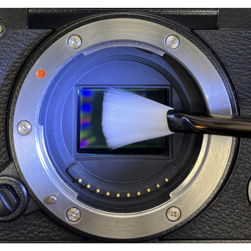 Visible Dust Arctic Butterfly 724X