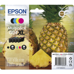 Epson multipak 4-colours 604 XL         T 10H6
