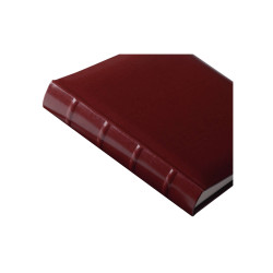 Walther Classic            30x37 80 stron album bordowy    FA373R