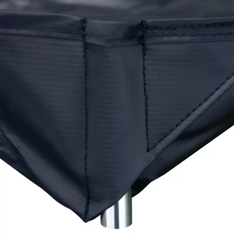 Buteo Bodenplane Aquila