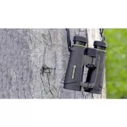 Vanguard Endeavor ED IV 10x42