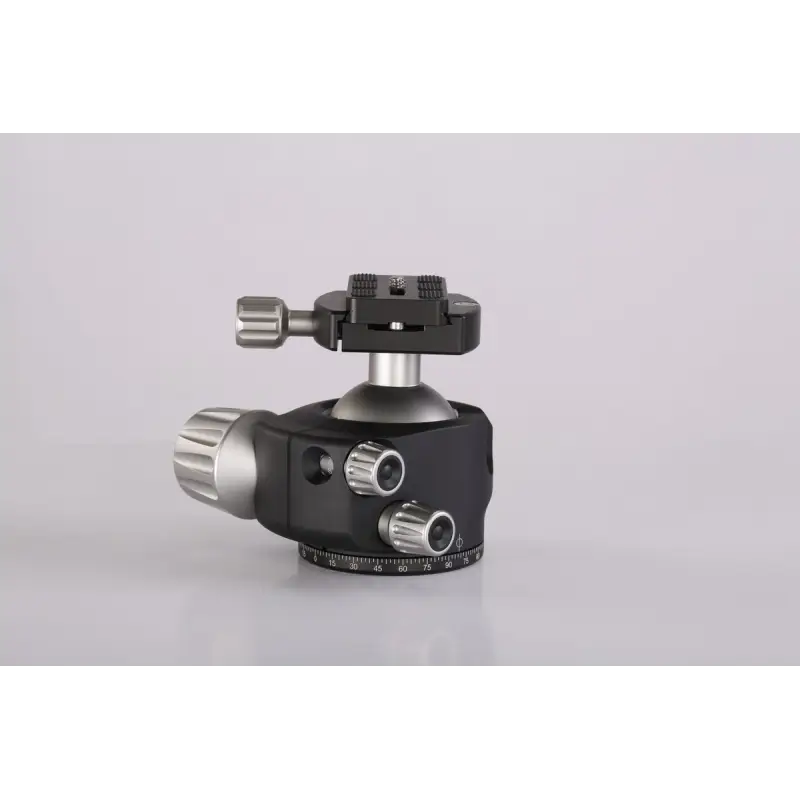 Leofoto głowica LH-55+QP-70N