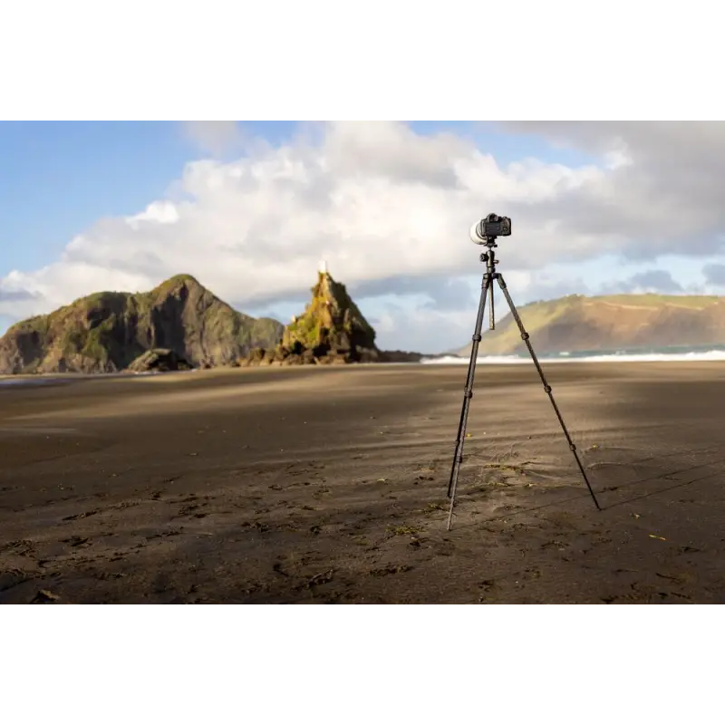 Statyw BEFREE GT PRO Carbon bez głowicy