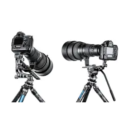 Leofoto głowica LBQ-60S