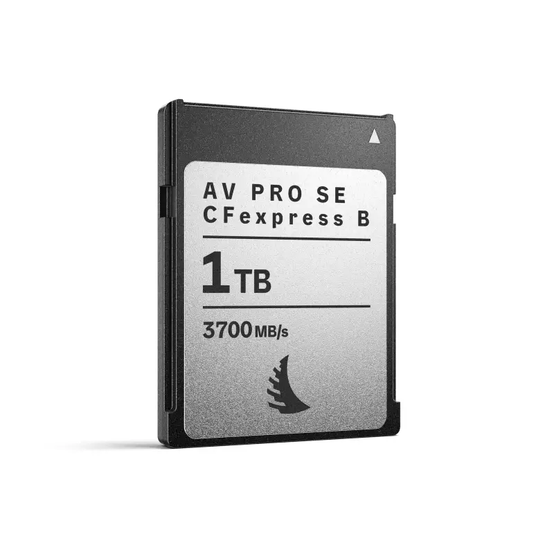 Angelbird AV PRO CFexpress SE 4.0 1TB