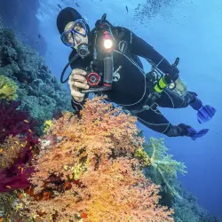 Sealife Reefmaster RM-4K Pro 2000 Set (SL354)