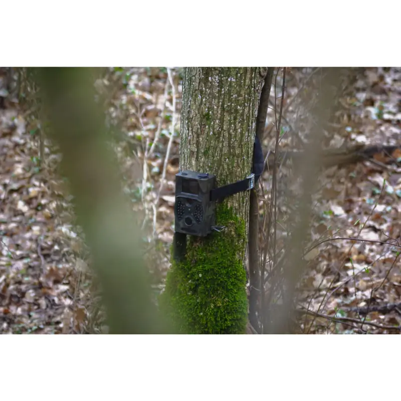 Braun Scouting Cam Black300