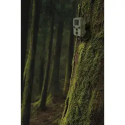 Braun Scouting Cam Black800 mini