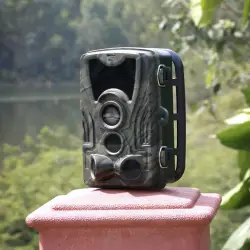 Braun Scouting Cam Black550