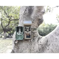 Braun Scouting Cam Black400 WiFi Solar