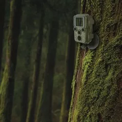 Braun Scouting Cam Black800 mini