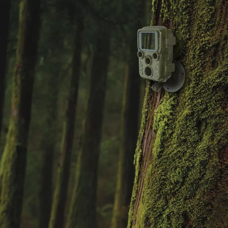 Braun Scouting Cam Black800 mini