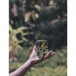 Braun Scouting Cam Black800 mini