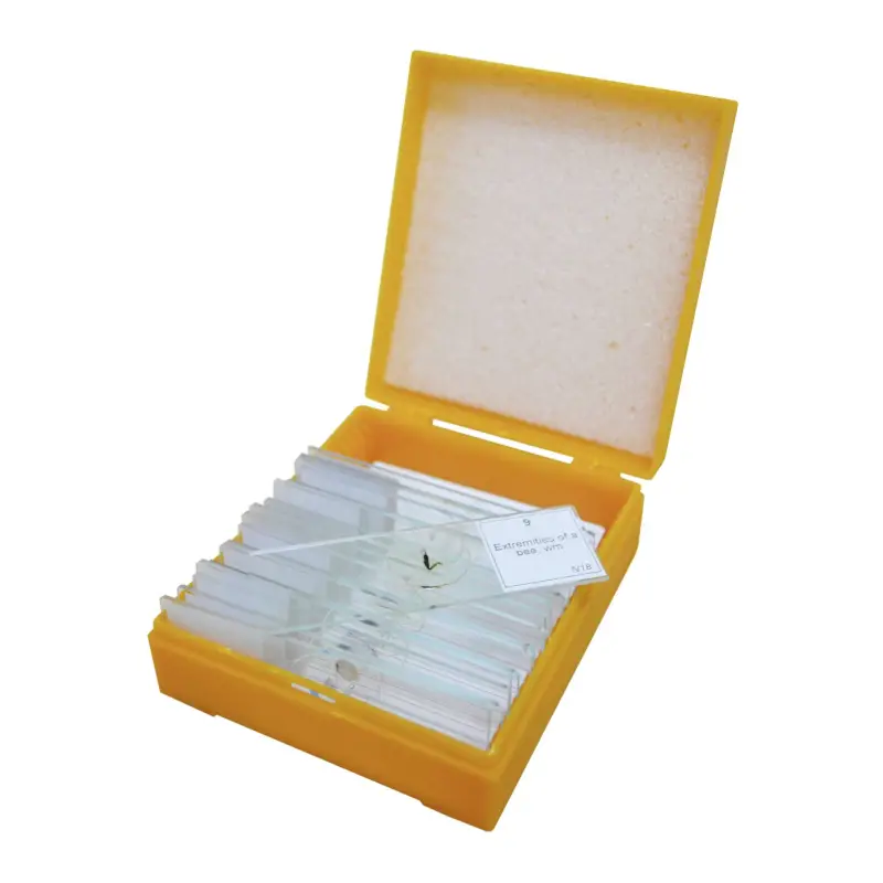 Levenhuk N18 NG zestaw gotowych preparatów