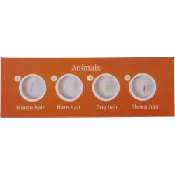 Levenhuk LabZZ C12 zestaw preparatów zwierzecych