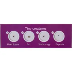 Levenhuk LabZZ C12 zestaw preparatów zwierzecych