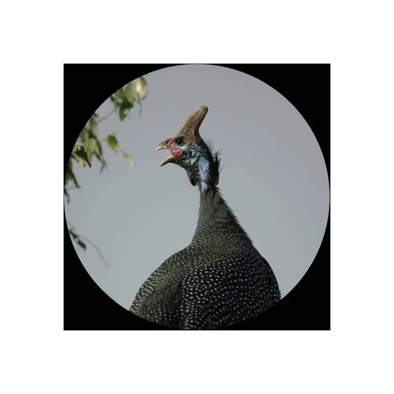 Canon Lornetka Optyczna 10x30 IS II