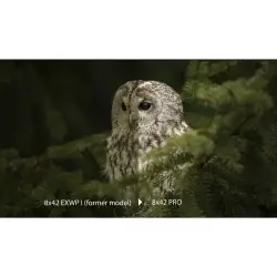 Olympus  8x42 Pro Lornetka Terenowa