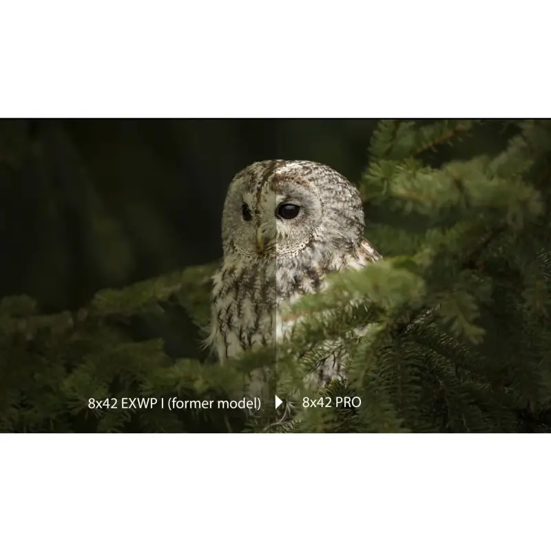 Olympus  8x42 Pro Lornetka Terenowa
