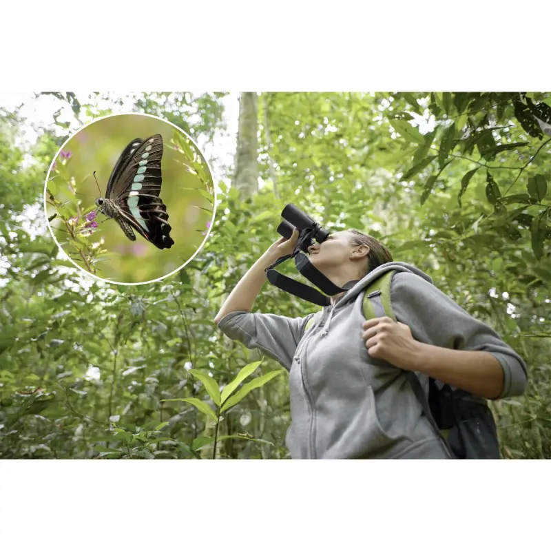 Olympus  8x42 Pro Lornetka Terenowa