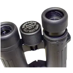 Braun Compagno           8x34 WP