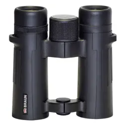 Braun Compagno          10x34 WP