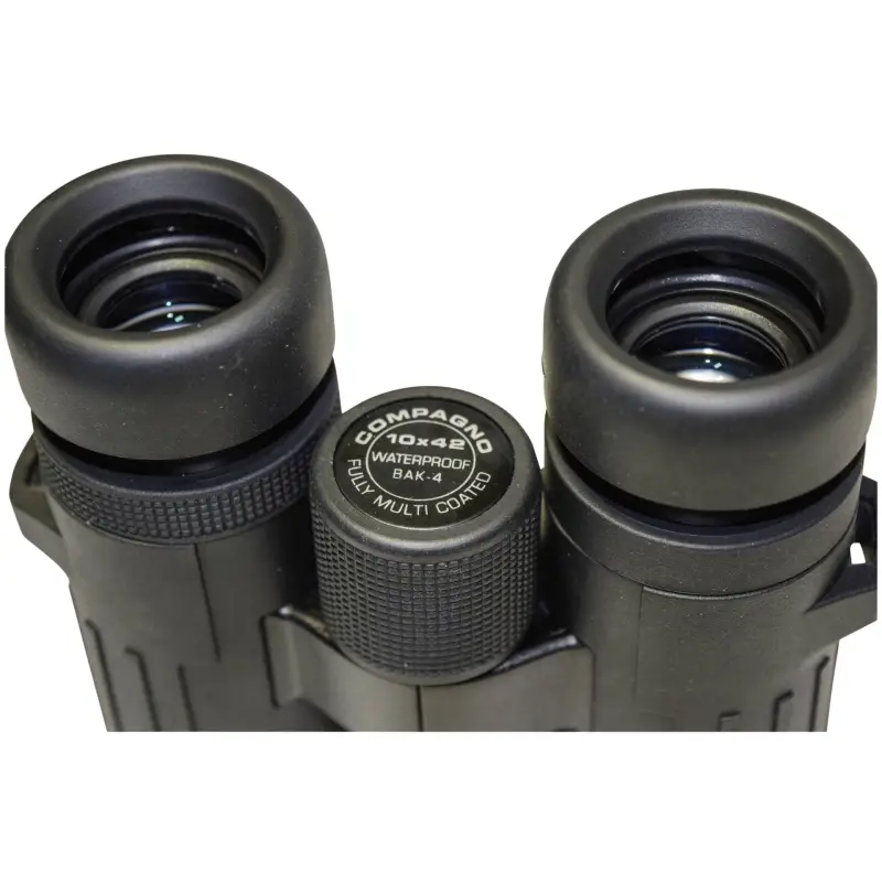 Lornetka Braun Compagno 10x42 WP