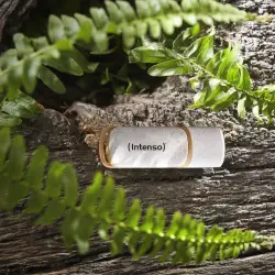 Intenso Green Line          32GB USB Stick 3.2 Gen 1