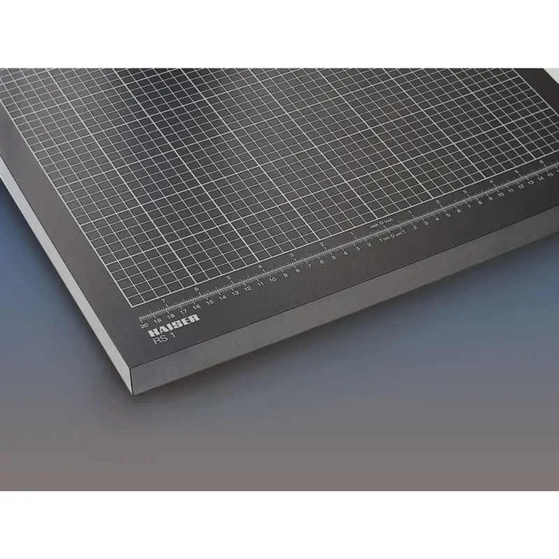 Kaiser Copy Stand RS 1