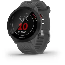 Garmin Forerunner 55 szary