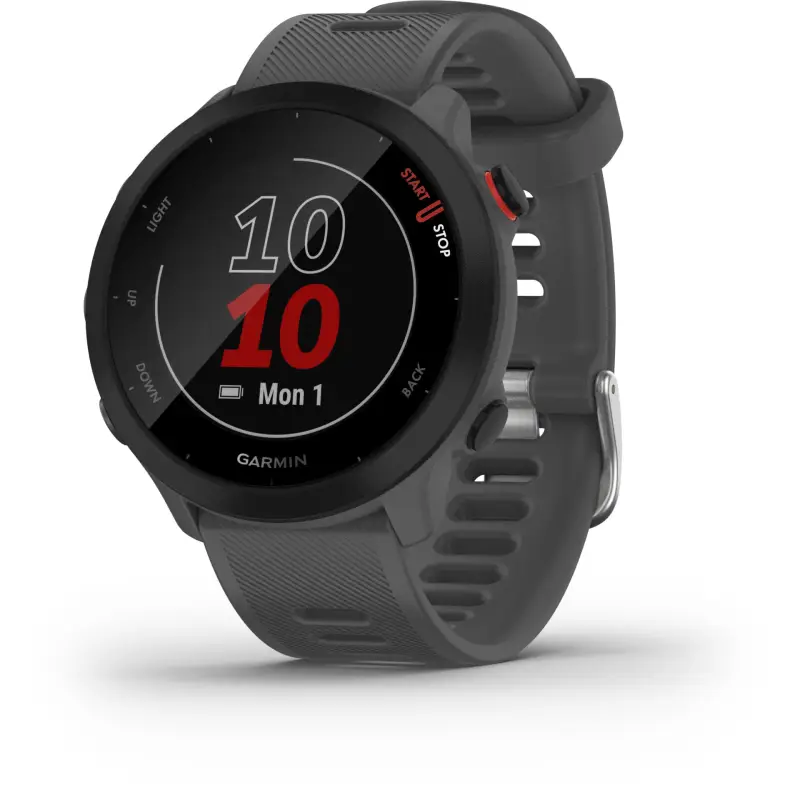 Garmin Forerunner 55 szary
