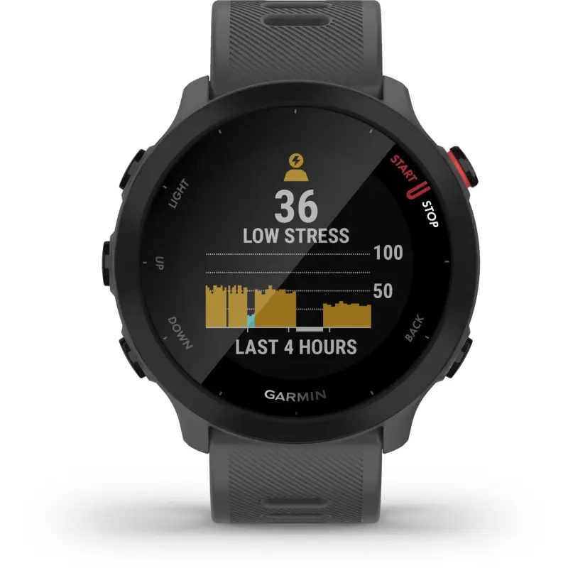 Garmin Forerunner 55 szary