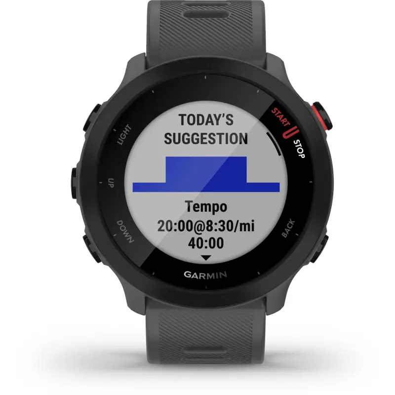 Garmin Forerunner 55 szary