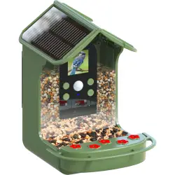 Easypix Bird Cam