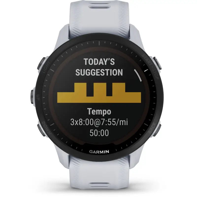 Garmin Forerunner 955 solarny jasnoszary/czarny