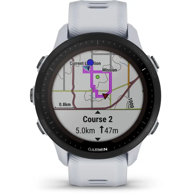 Garmin Forerunner 955 solarny jasnoszary/czarny