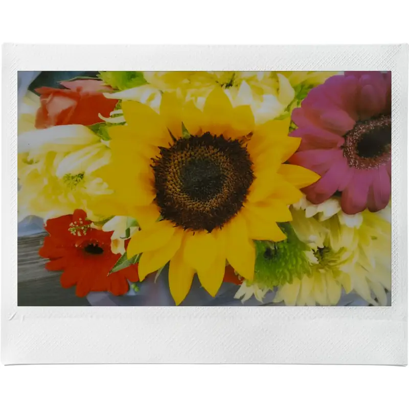 Fujifilm Instax Wide Evo