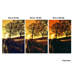 Harman Red 125 135/36